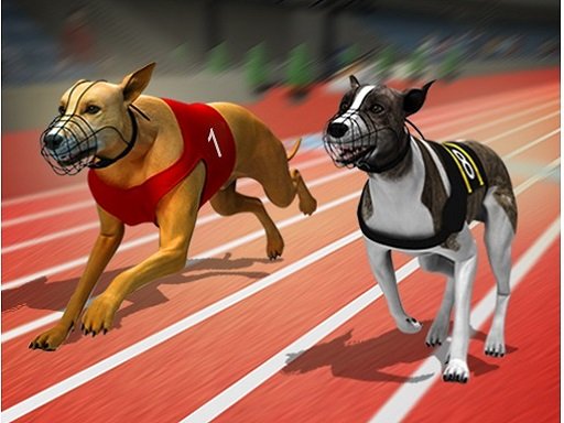 Racing Dog Simulator : Crazy Dog Racing Games icon